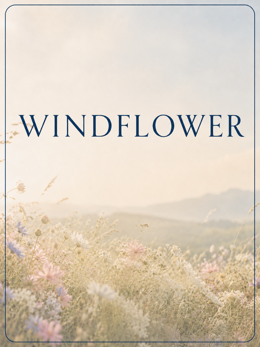 Windflower